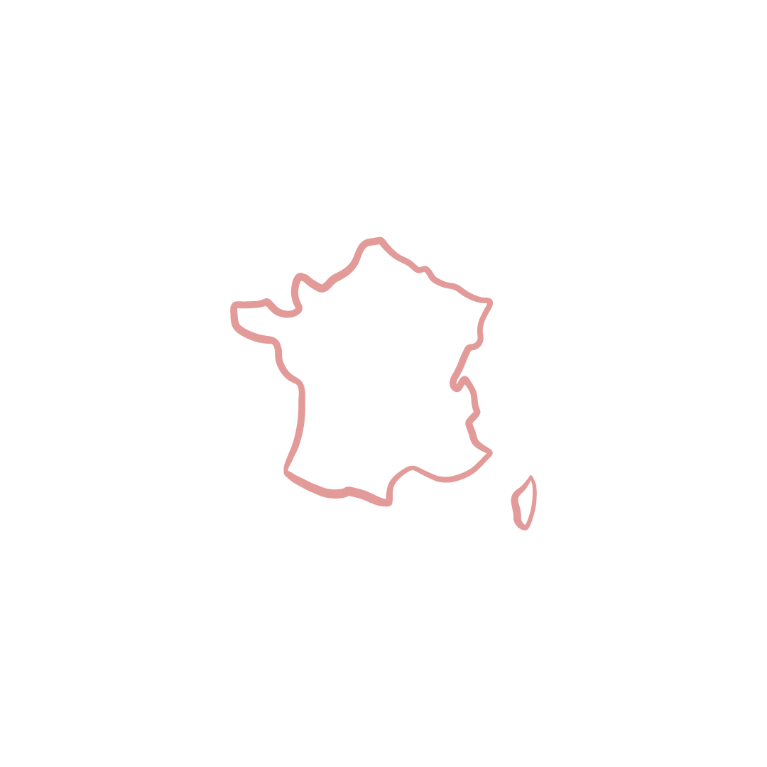 Icone de la carte de France.